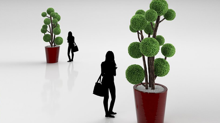 渲染模型_盆栽植物016