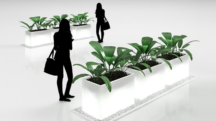 渲染模型_盆栽植物019