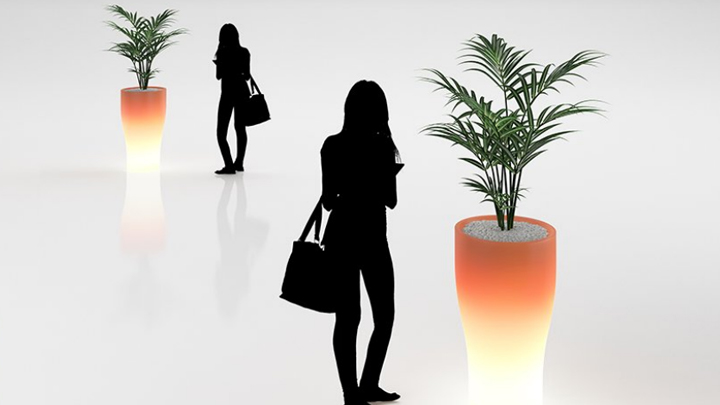 渲染模型_盆栽植物020