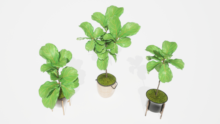 渲染模型_盆栽绿植005