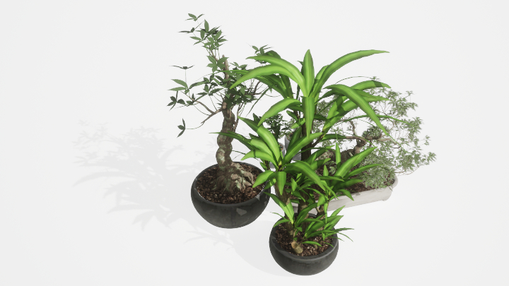 渲染模型_盆栽绿植007