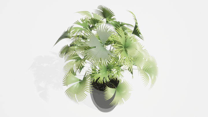 渲染模型_盆栽绿植010