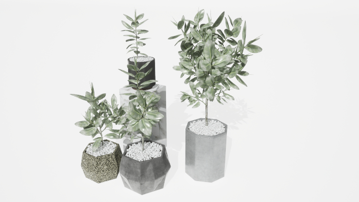 渲染模型_盆栽绿植017