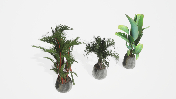 渲染模型_盆栽绿植019
