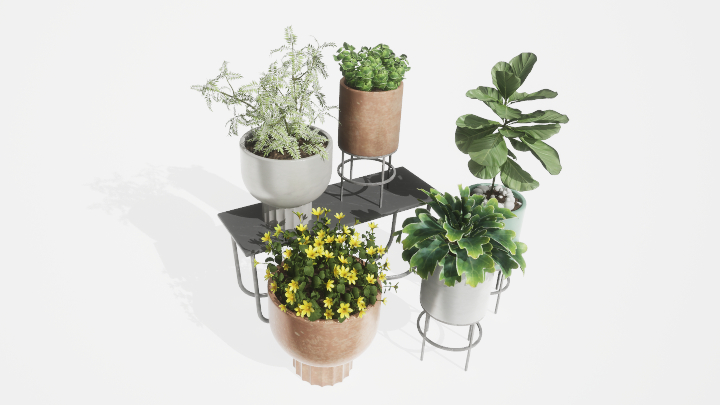 渲染模型_盆栽绿植020