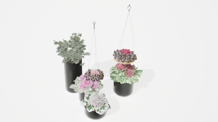 渲染模型_盆栽绿植079