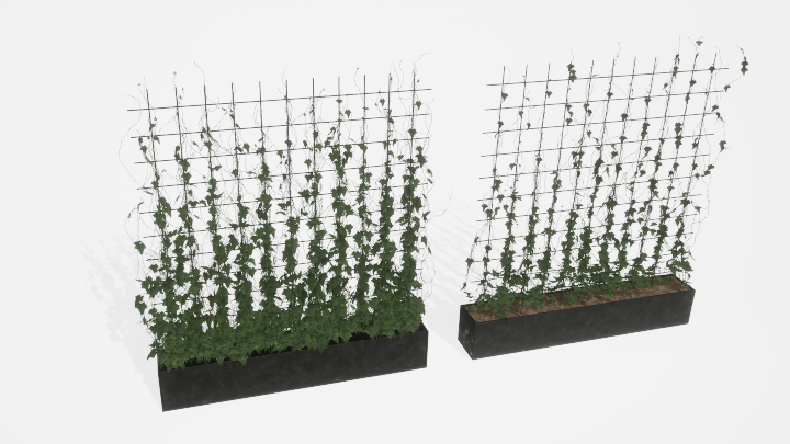 渲染模型_盆栽绿植081