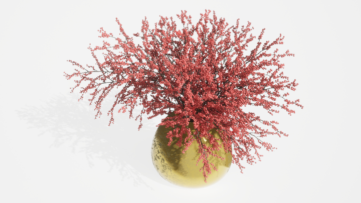 渲染模型_盆栽绿植082