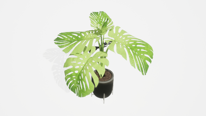 渲染模型_盆栽绿植085