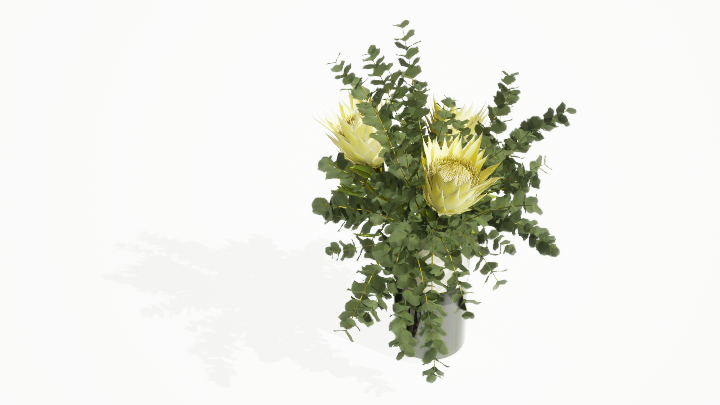 渲染模型_盆栽绿植090