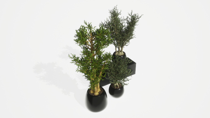 渲染模型_盆栽绿植096