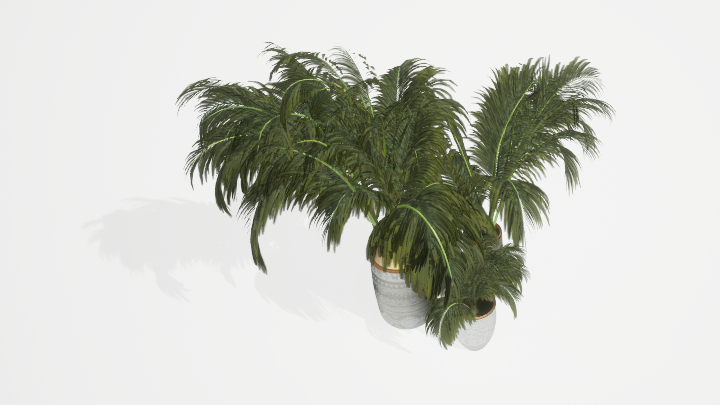 渲染模型_盆栽绿植097