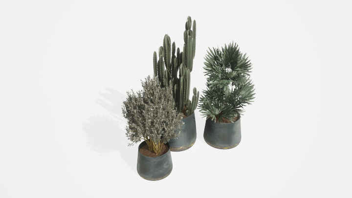 渲染模型_盆栽绿植098