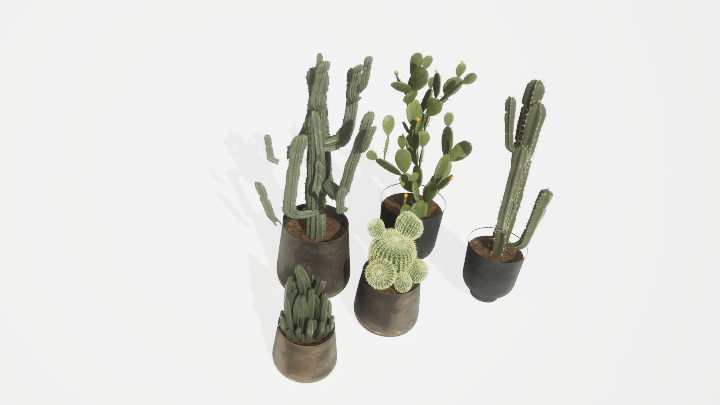 渲染模型_盆栽绿植102