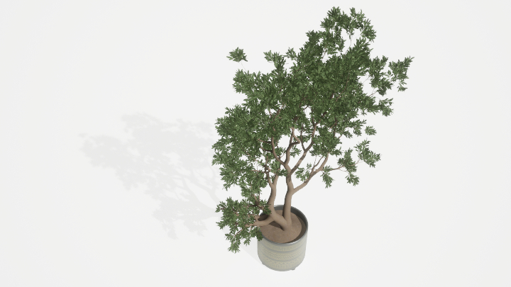 渲染模型_盆栽绿植103