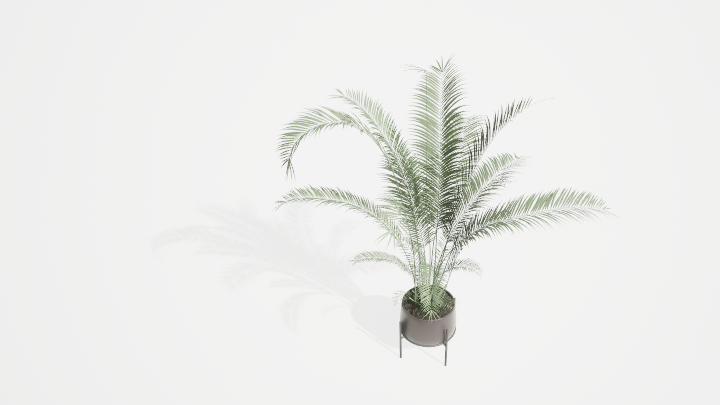 渲染模型_盆栽绿植124