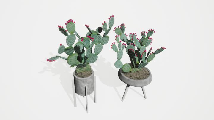 渲染模型_盆栽绿植147