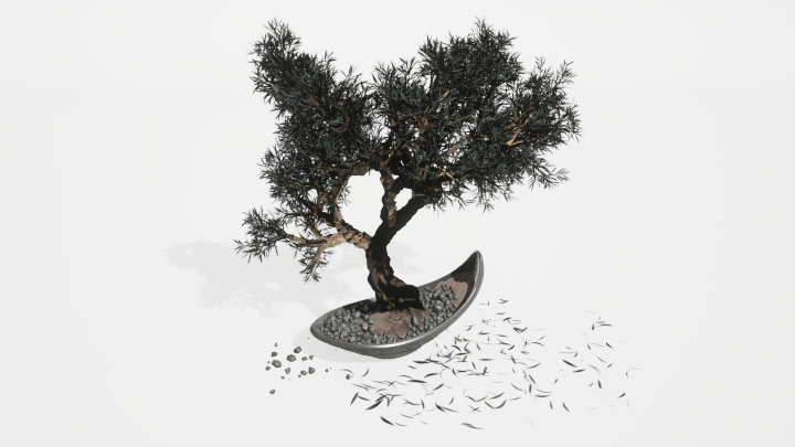 渲染模型_盆栽绿植156