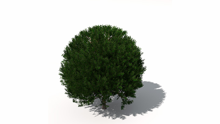 渲染模型_绿植058