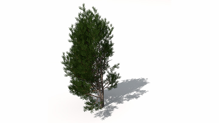 渲染模型_绿植066