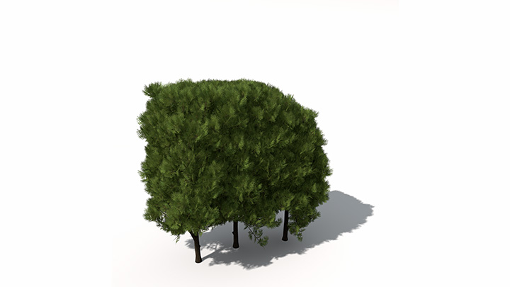 渲染模型_绿植072