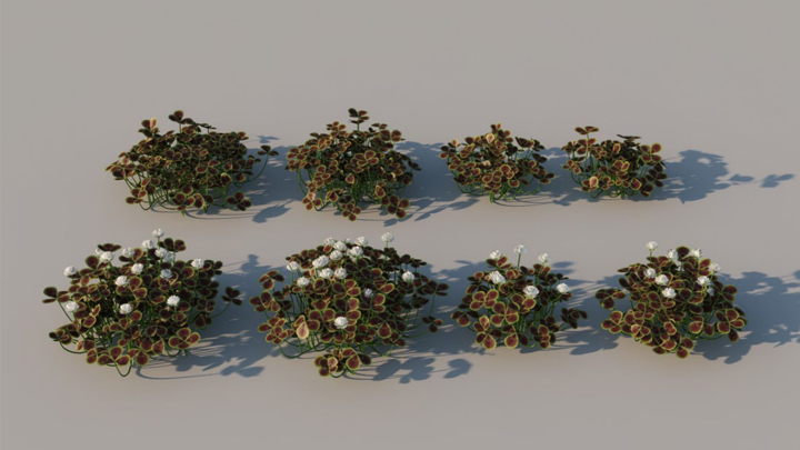 渲染模型_绿植草003