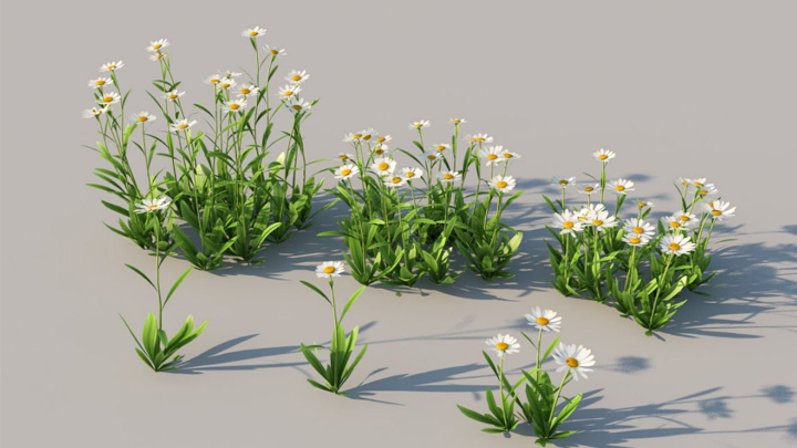 渲染模型_绿植草007