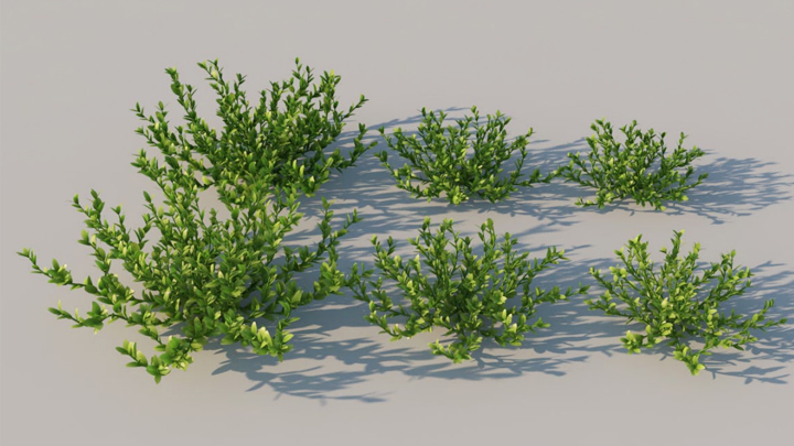 渲染模型_绿植草011