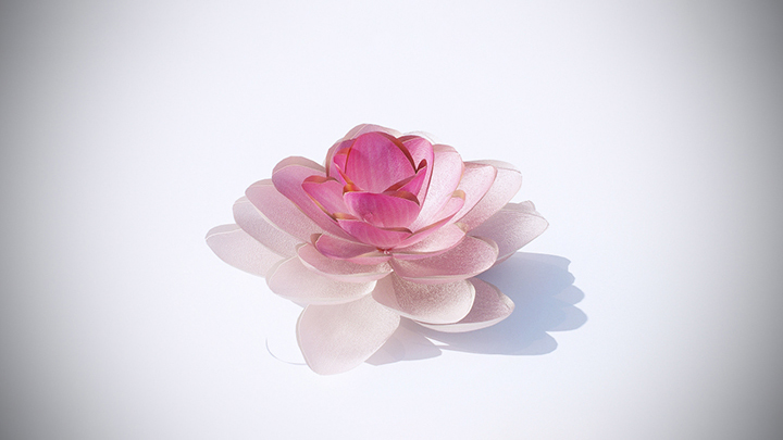 渲染模型_花草004