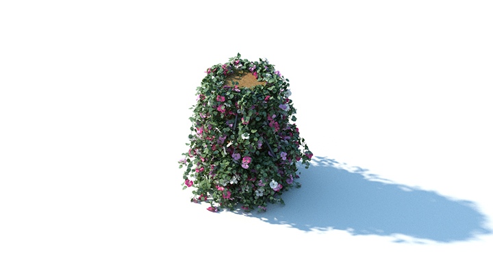 渲染模型_花草033