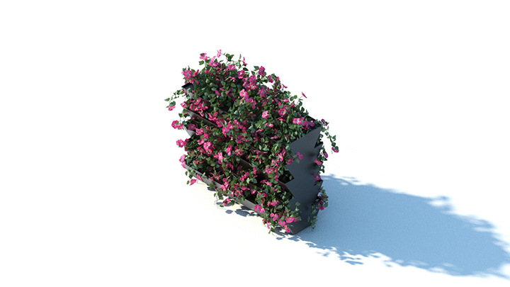 渲染模型_花草035