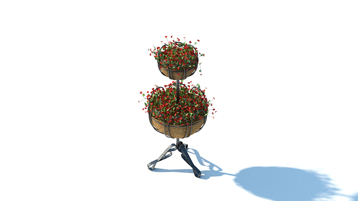 渲染模型_花草043