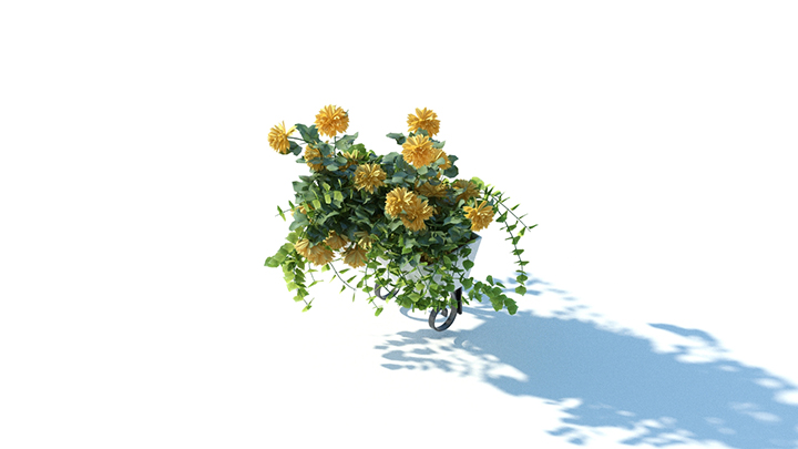 渲染模型_花草047