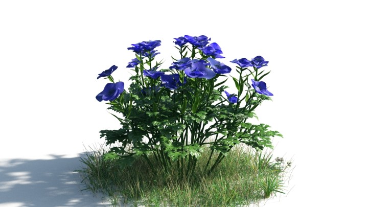 渲染模型_花草灌木005