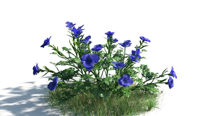 渲染模型_花草灌木006