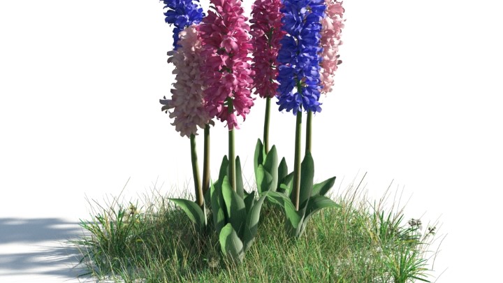 渲染模型_花草灌木025