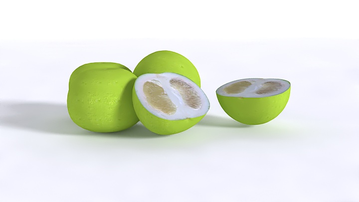 渲染模型_葡萄柚001