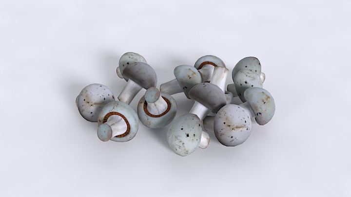 渲染模型_蘑菇004