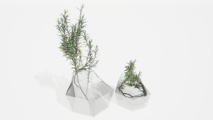 渲染模型_装饰花瓶014