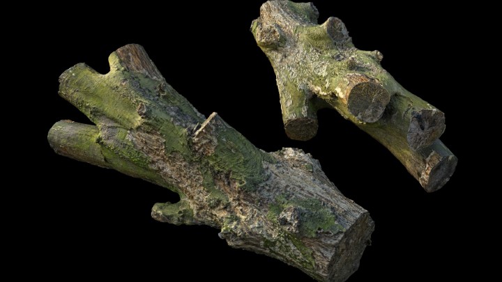 渲染模型_野外树干树枝013