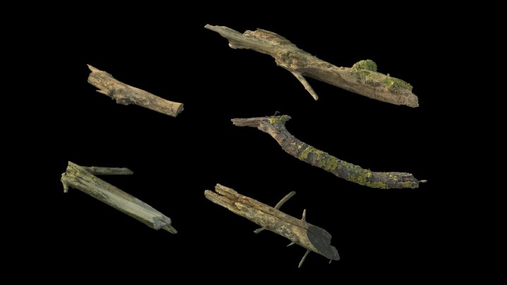 渲染模型_野外树干树枝024