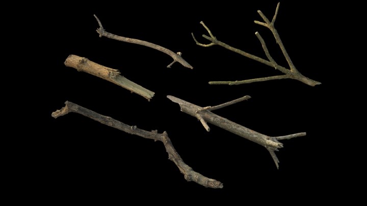 渲染模型_野外树干树枝025