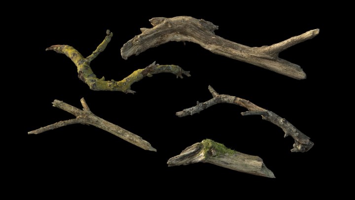 渲染模型_野外树干树枝028