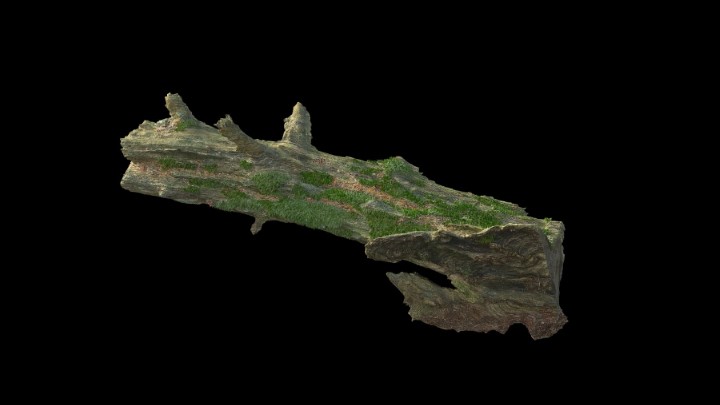 渲染模型_野外树枝006