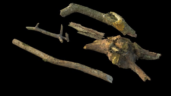 渲染模型_野外树枝016