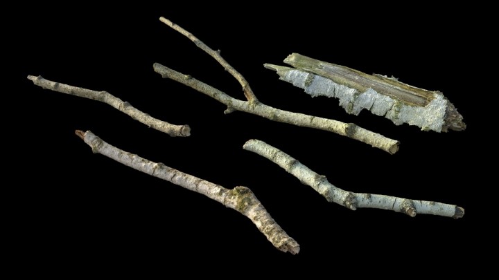 渲染模型_野外树枝017