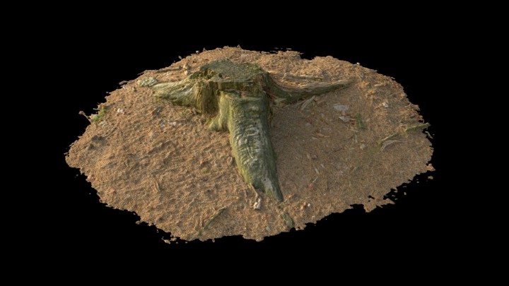 渲染模型_野外树根树桩001