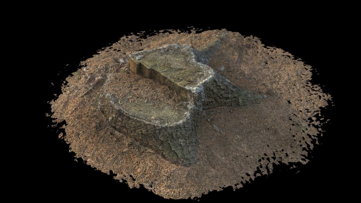 渲染模型_野外树根树桩002