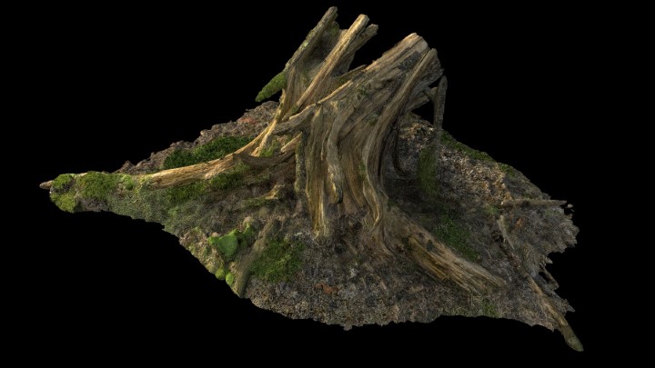 渲染模型_野外树根树桩006