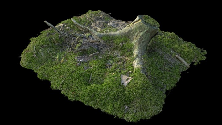 渲染模型_野外树根树桩009